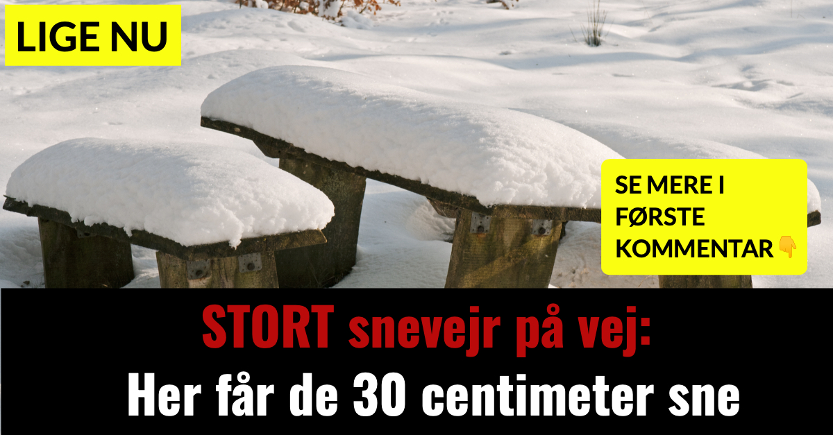 STORT snevejr på vej: Her får de 30 centimeter sne