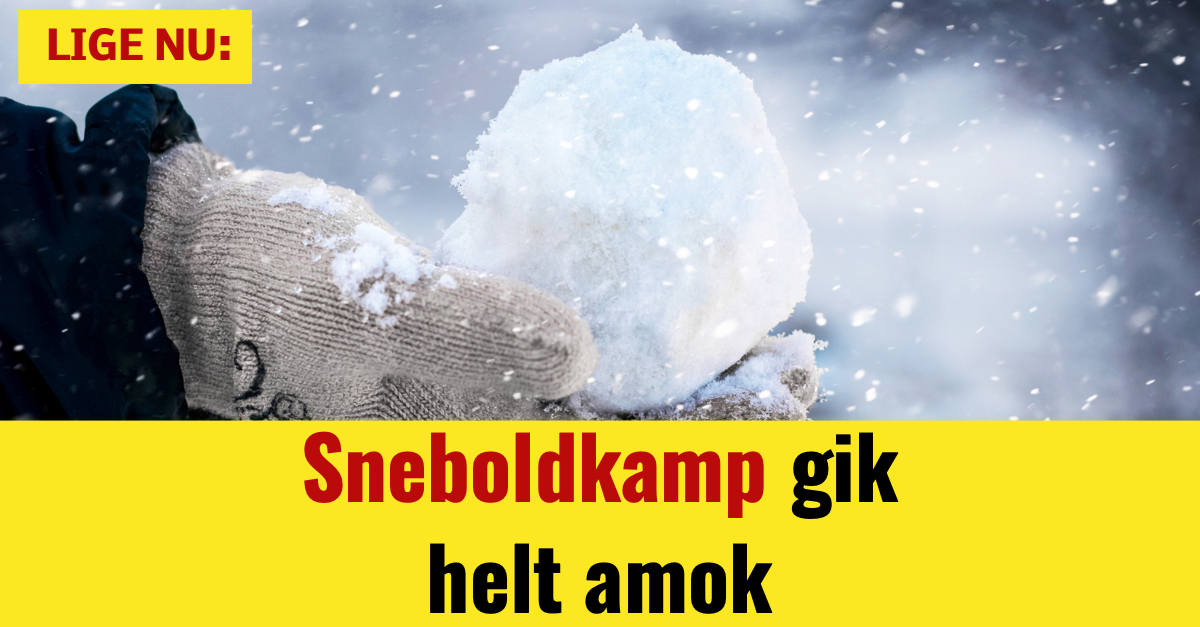 Sneboldkamp gik helt amok