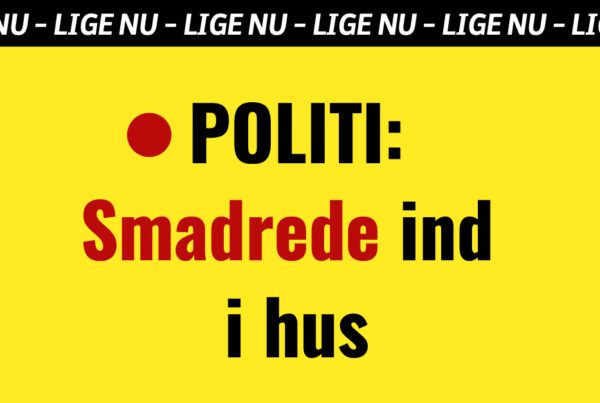 POLITI: Smadrede ind i hus