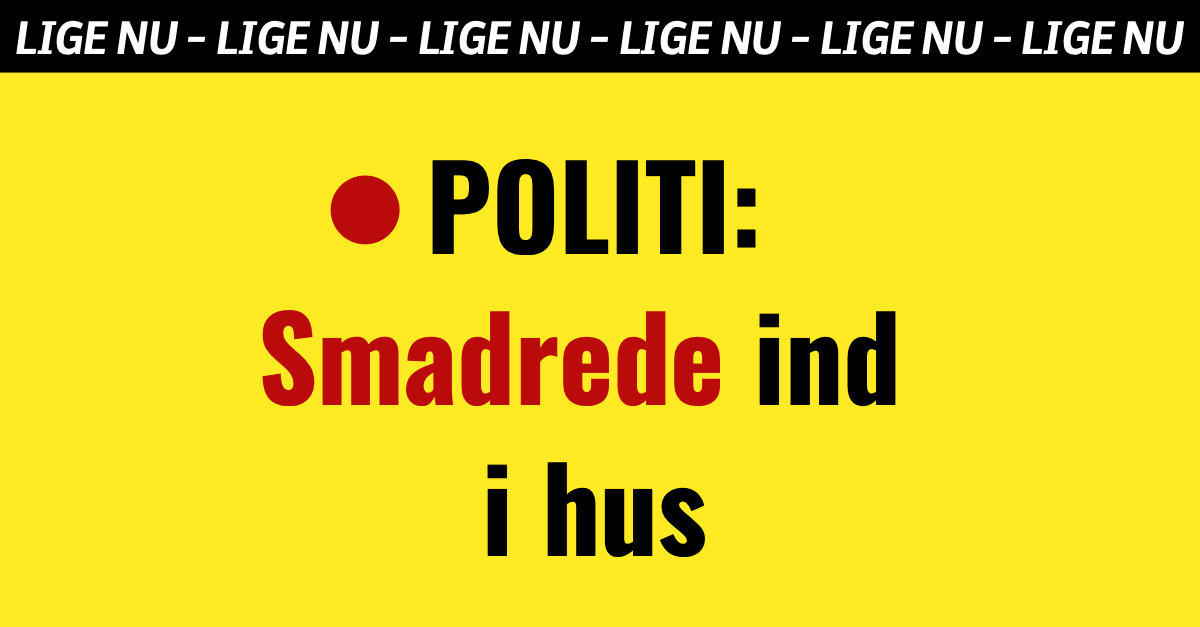 POLITI: Smadrede ind i hus