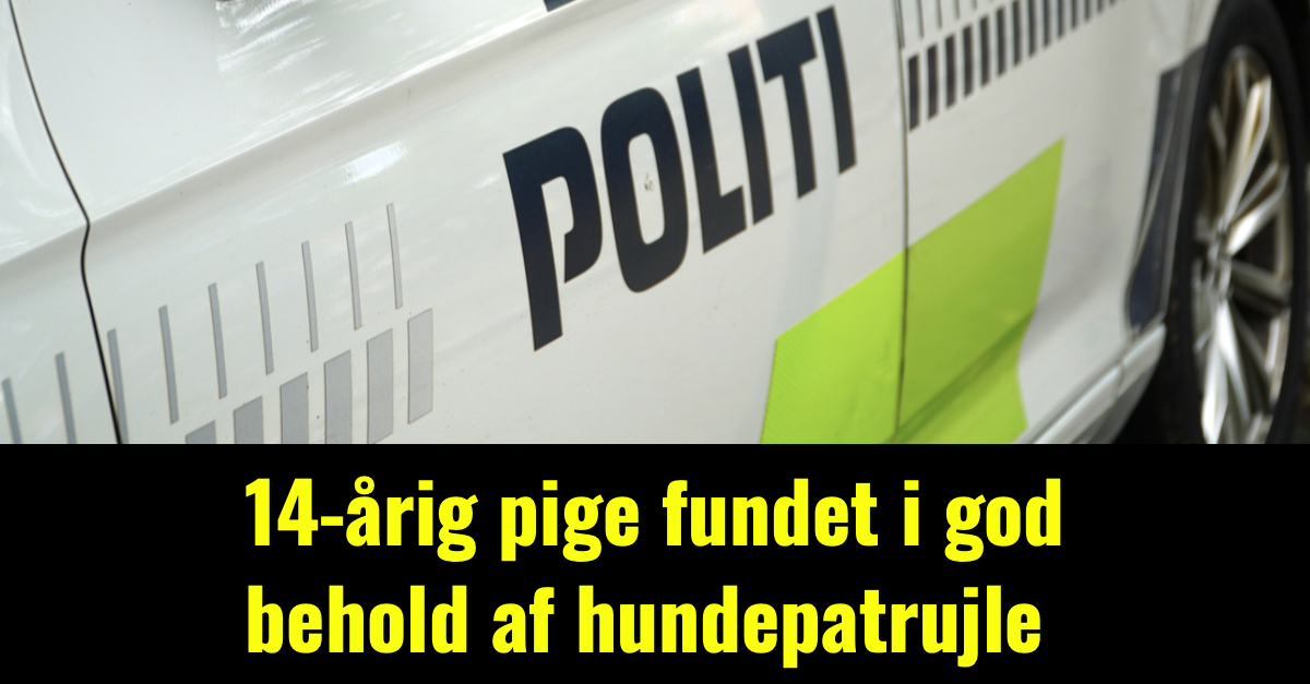 14-årig pige fundet i god behold af hundepatrujle