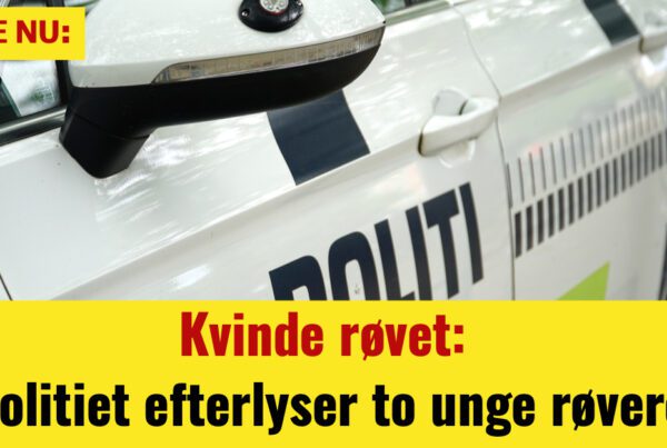 Kvinde røvet: Politiet efterlyser to unge røvere