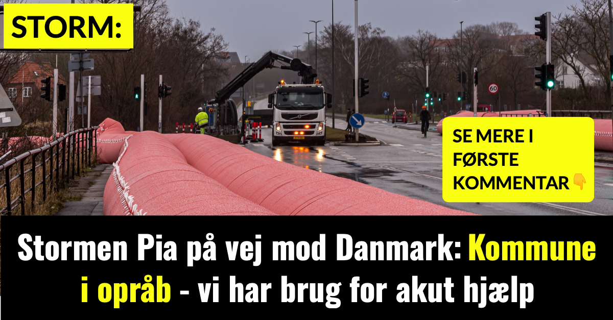 Stormen Pia på vej mod Danmark: Kommune i opråb - vi har brug for akut hjælp