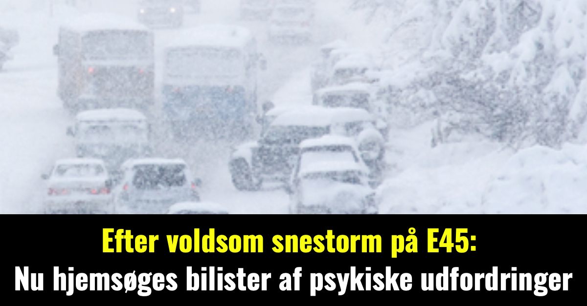 Efter voldsom snestorm på E45: Nu hjemsøges bilister af psykiske udfordringer