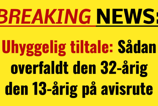 Uhyggelig tiltale: Sådan overfaldt den 32-årig den 13-årig på avisrute