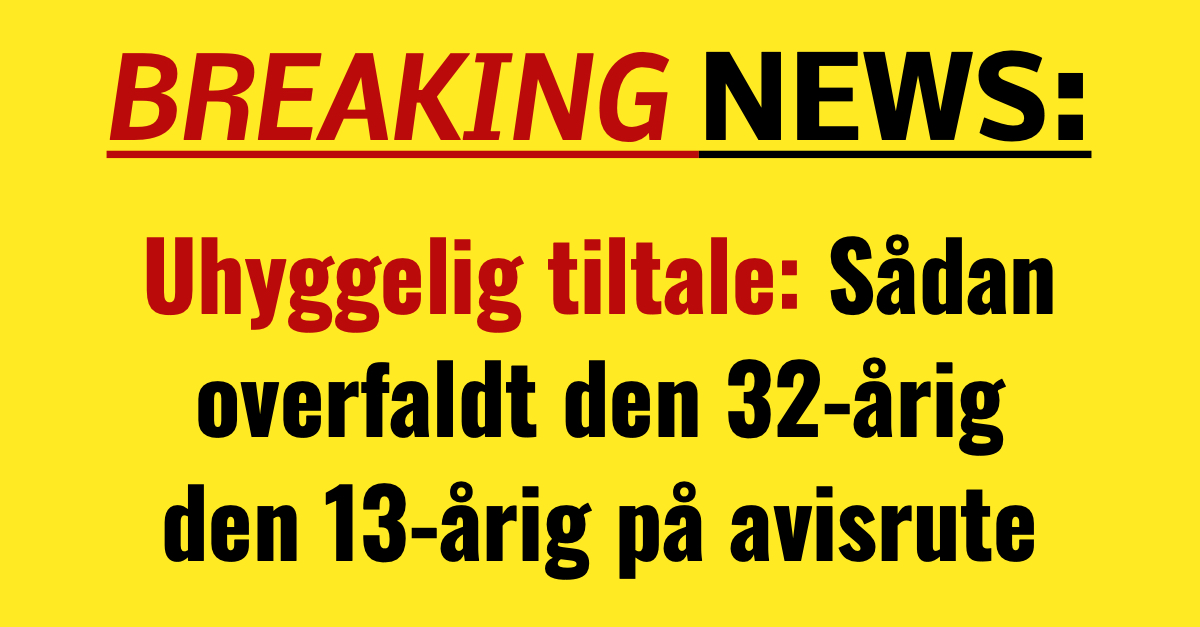 Uhyggelig tiltale: Sådan overfaldt den 32-årig den 13-årig på avisrute