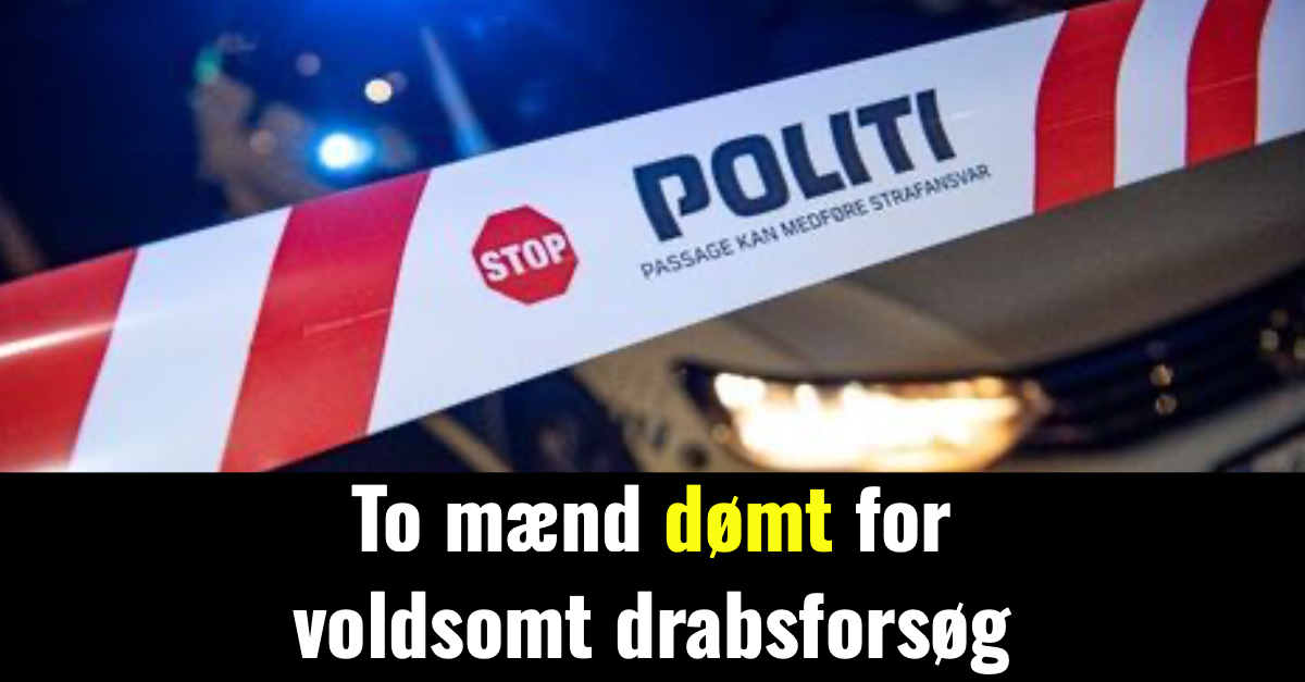 To mænd dømt for voldsomt drabsforsøg