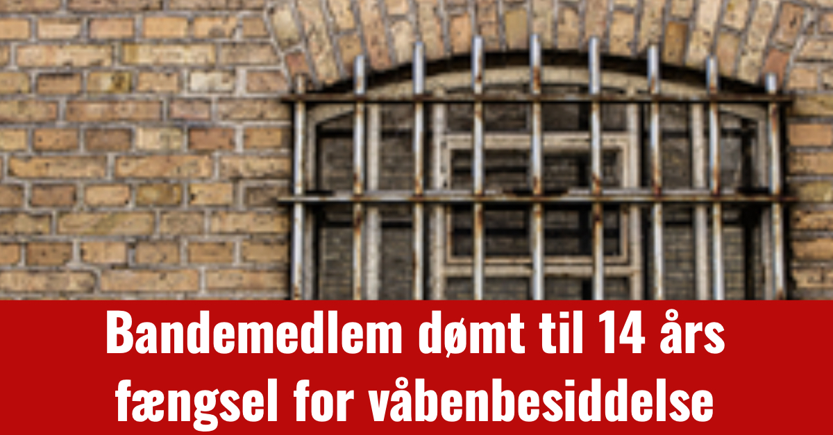 Bandemedlem dømt til 14 års fængsel for våbenbesiddelse