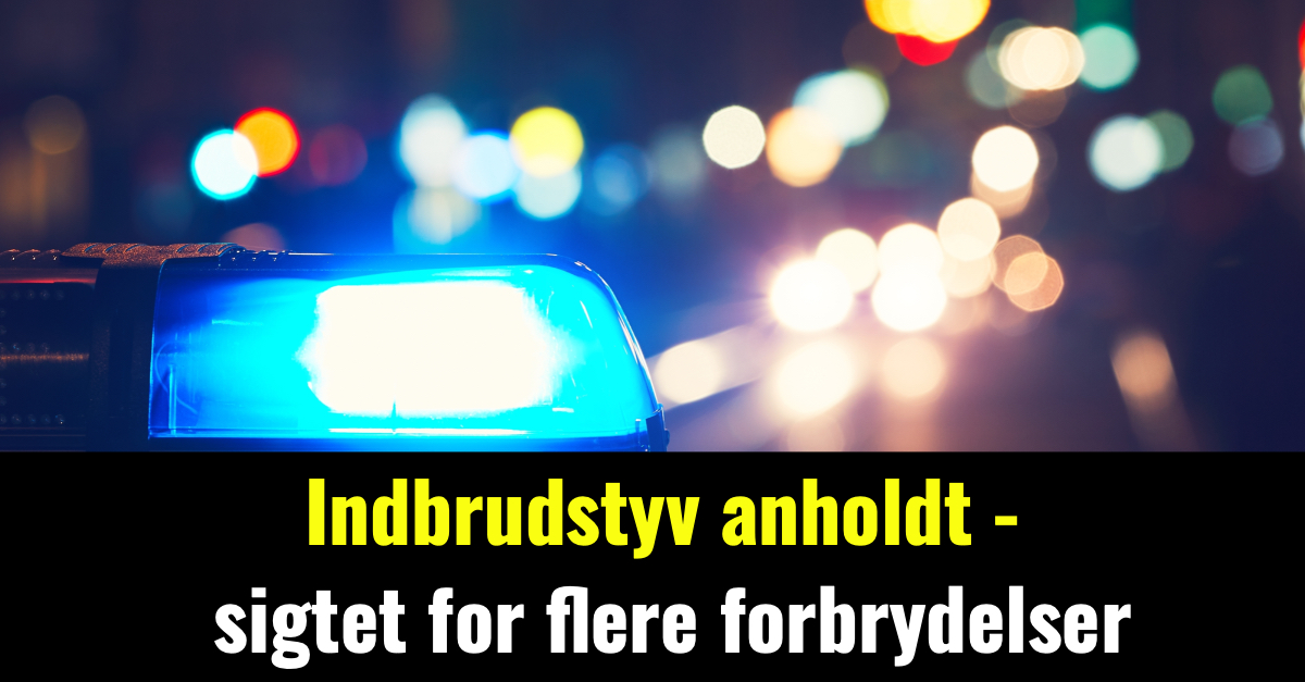 Indbrudstyv anholdt - sigtet for flere forbrydelser