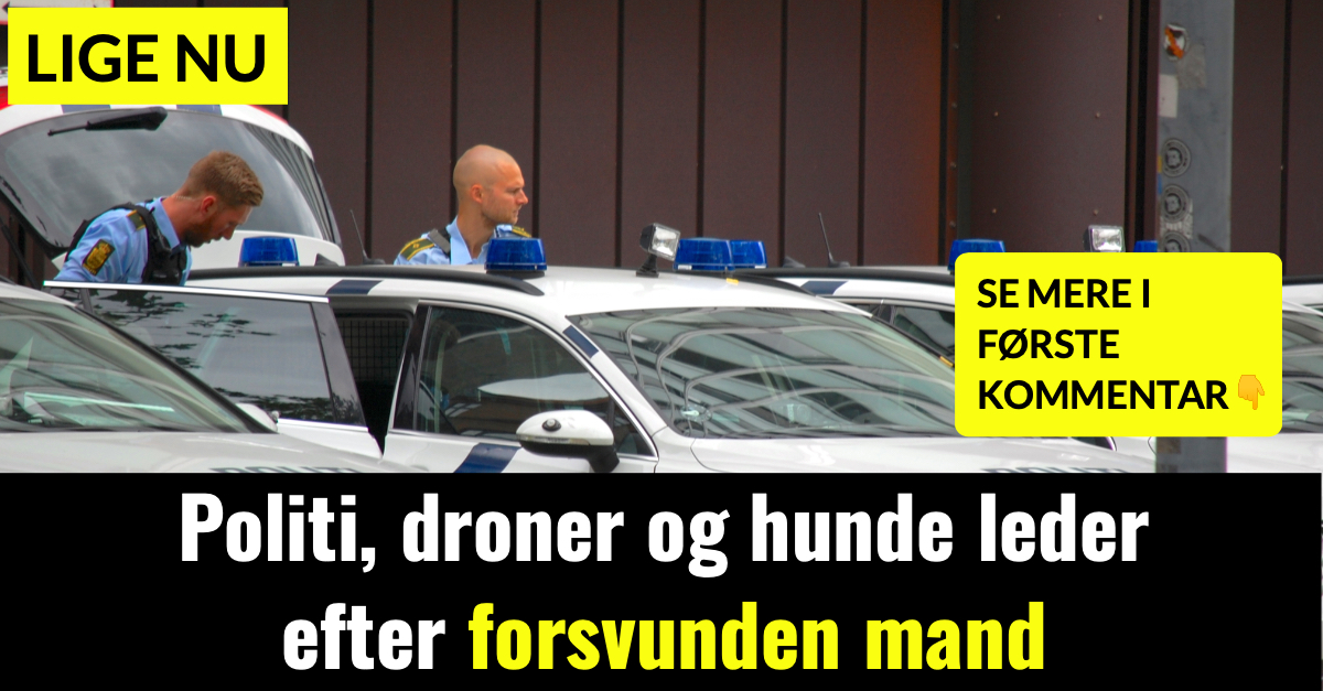 Politi, droner og hunde leder efter forsvunden mand