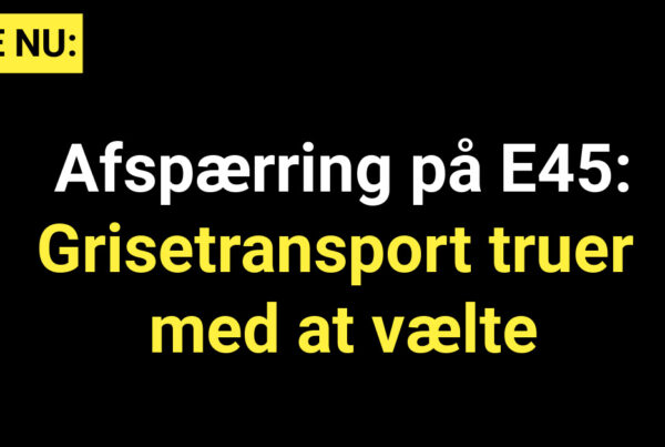 Afspærring på E45: Grisetransport truer med at vælte