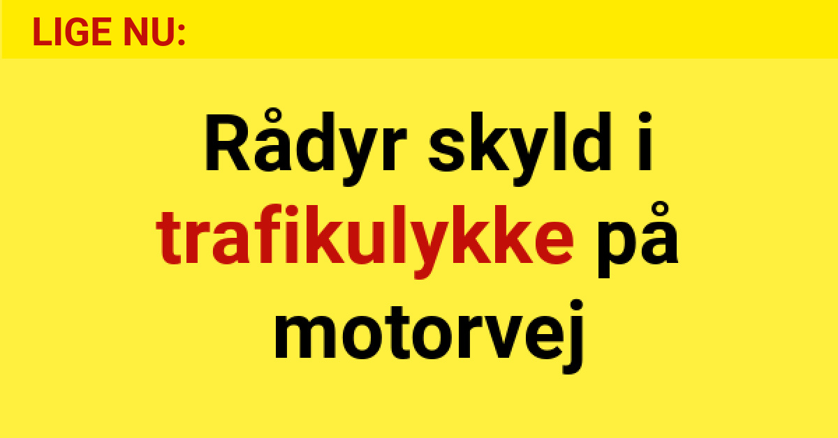 Rådyr skyld i trafikulykke på motorvej