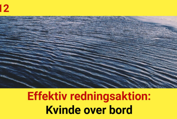 Effektiv redningsaktion: Kvinde over bord