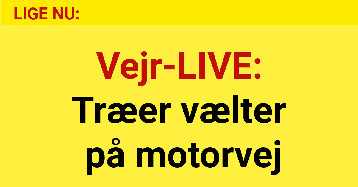 Vejr-LIVE: Træer vælter på motorvej