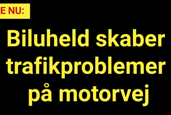 Biluheld skaber trafikproblemer på motorvej