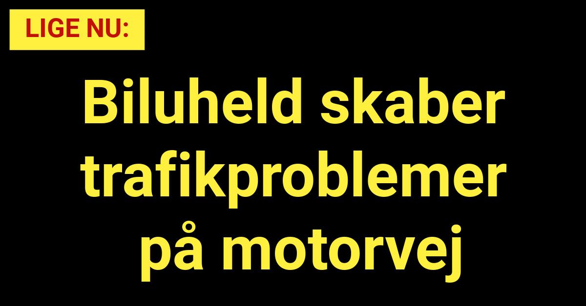 Biluheld skaber trafikproblemer på motorvej