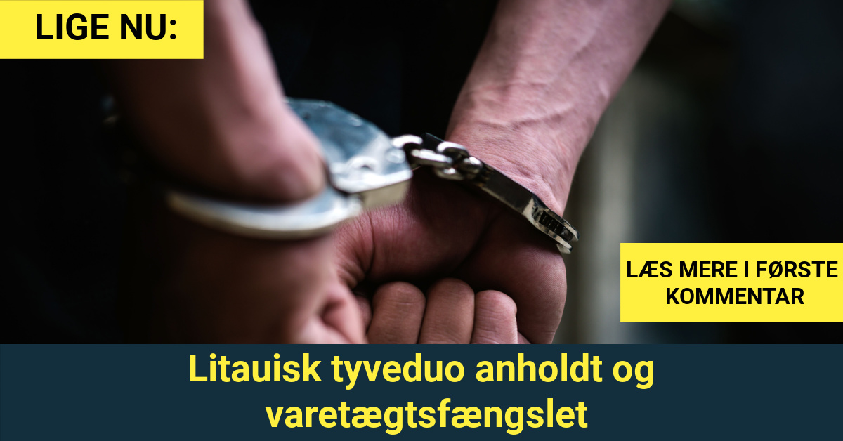 Litauisk tyveduo anholdt og varetægtsfængslet