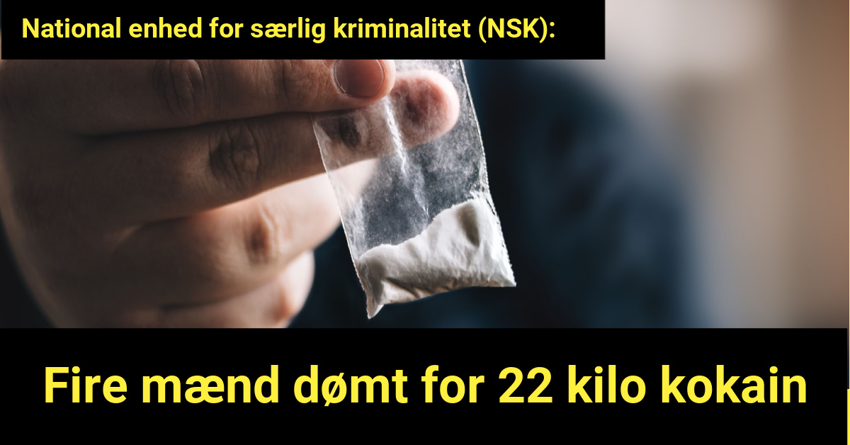 NSK dømmer fire mænd for 22 Kilo Kokain