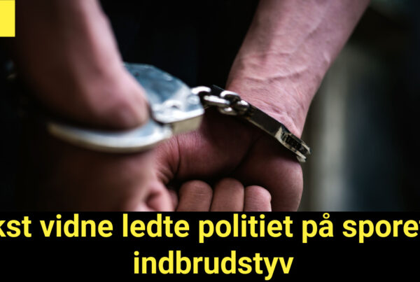 Vakst vidne ledte politiet på sporet af indbrudstyv