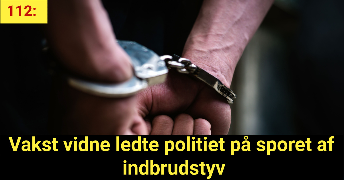 Vakst vidne ledte politiet på sporet af indbrudstyv