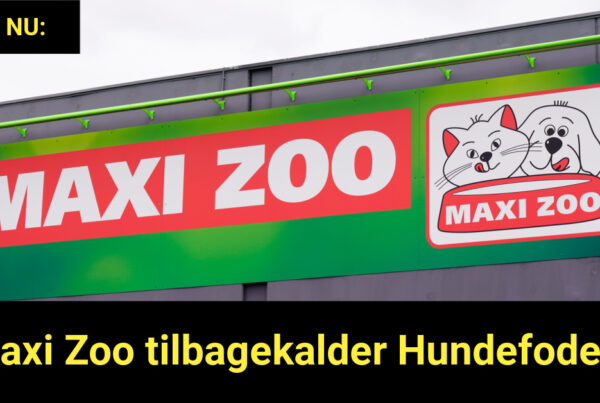 LIGE NU: Maxi Zoo tilbagekalder Hundefoder