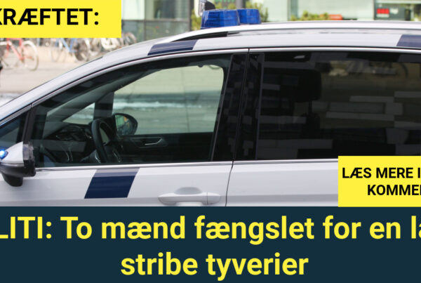 POLITI: To mænd fængslet for en lang stribe tyverier