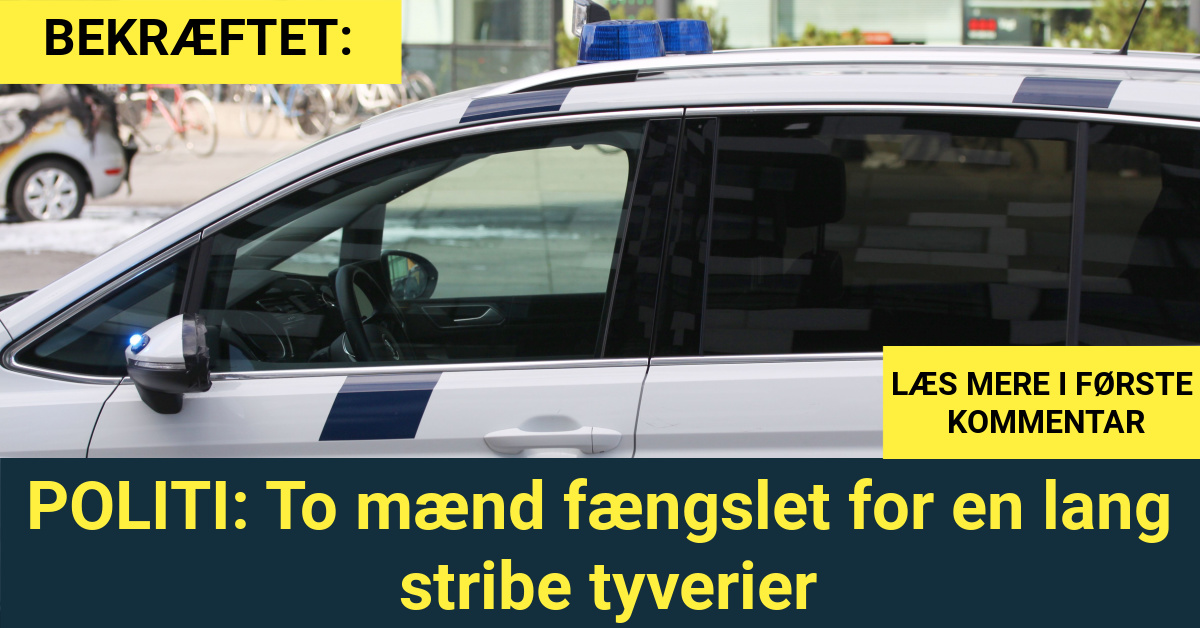 POLITI: To mænd fængslet for en lang stribe tyverier