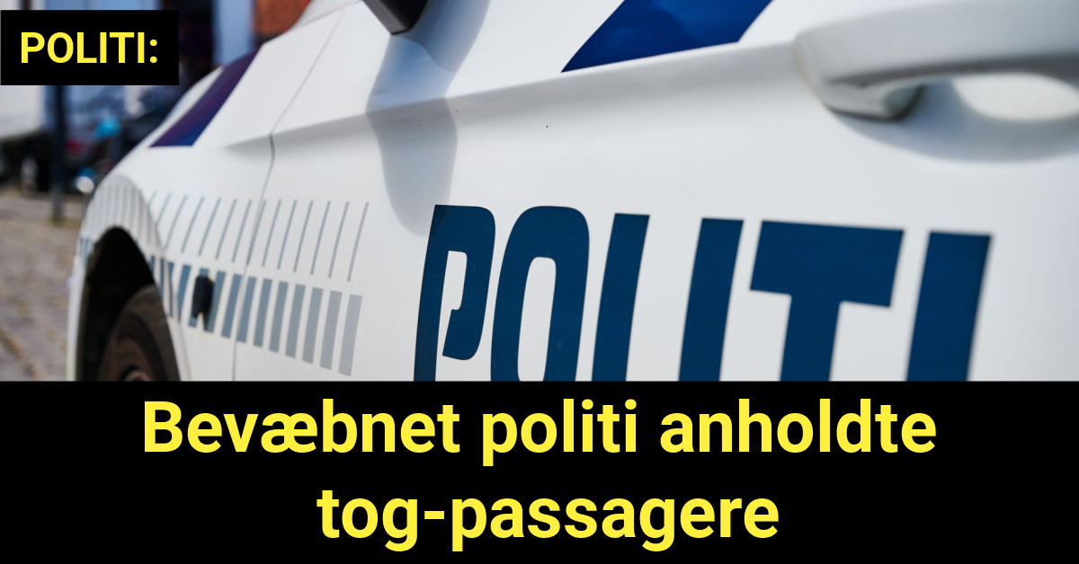 Bevæbnet politi anholdte tog-passagerer