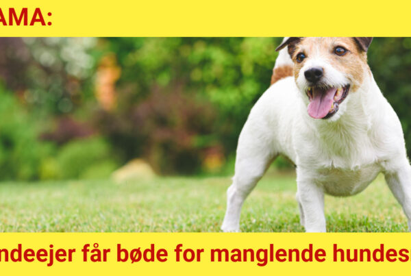 Hundeejer får bøde for manglende hundesnor - 112