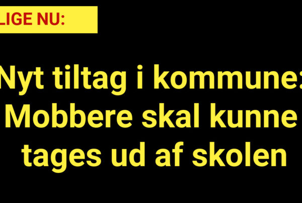 Nyt tiltag i kommune: Mobbere skal kunne tages ud af skolen