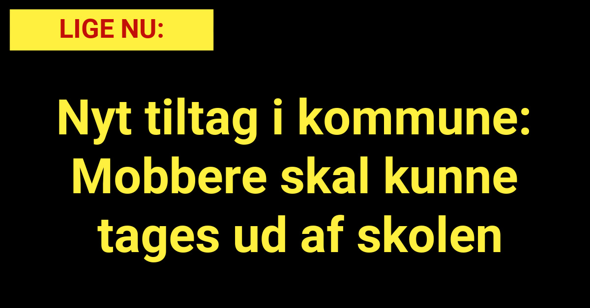 Nyt tiltag i kommune: Mobbere skal kunne tages ud af skolen