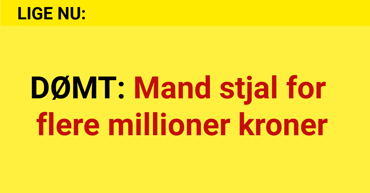 DØMT: Mand stjal for flere millioner kroner