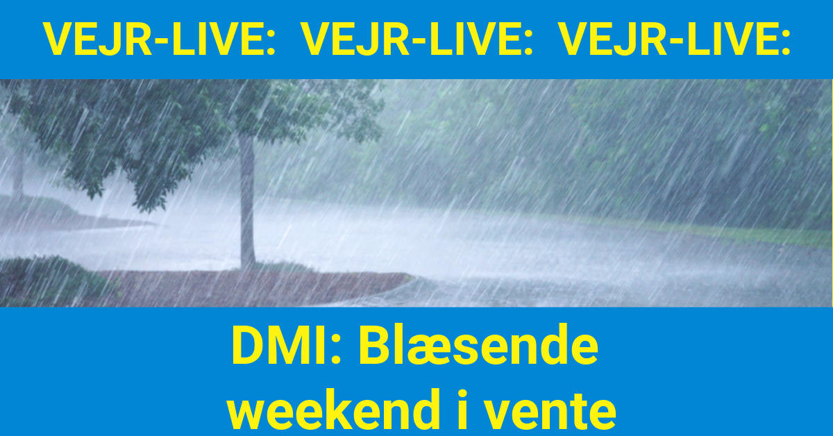 DMI: Blæsende weekend i vente