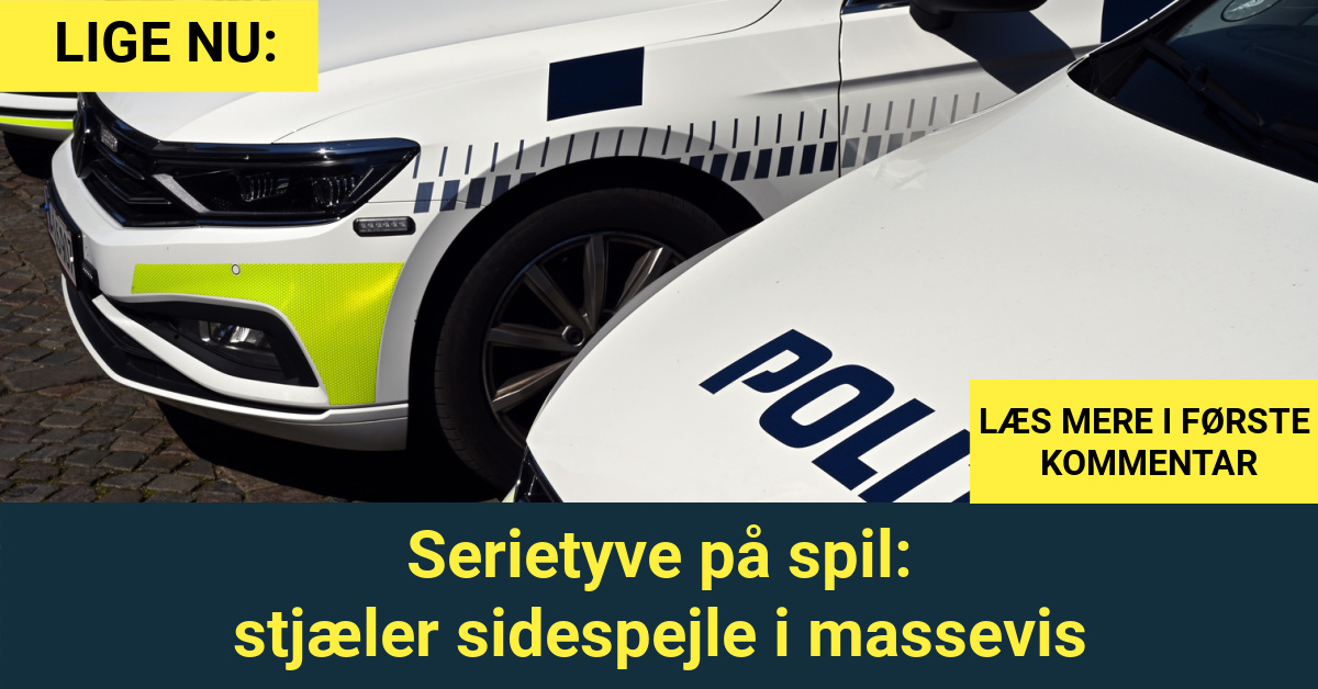 Serietyve på spil: stjæler sidespejle i massevis