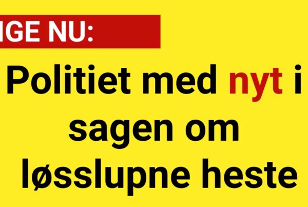 LIGE NU: Politiet med nyt i sagen om løsslupne heste - 112