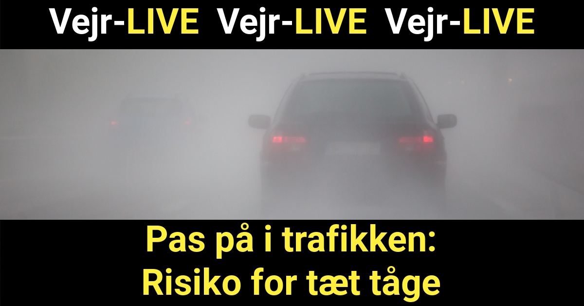 Pas på i trafikken: Risiko for tæt tåge