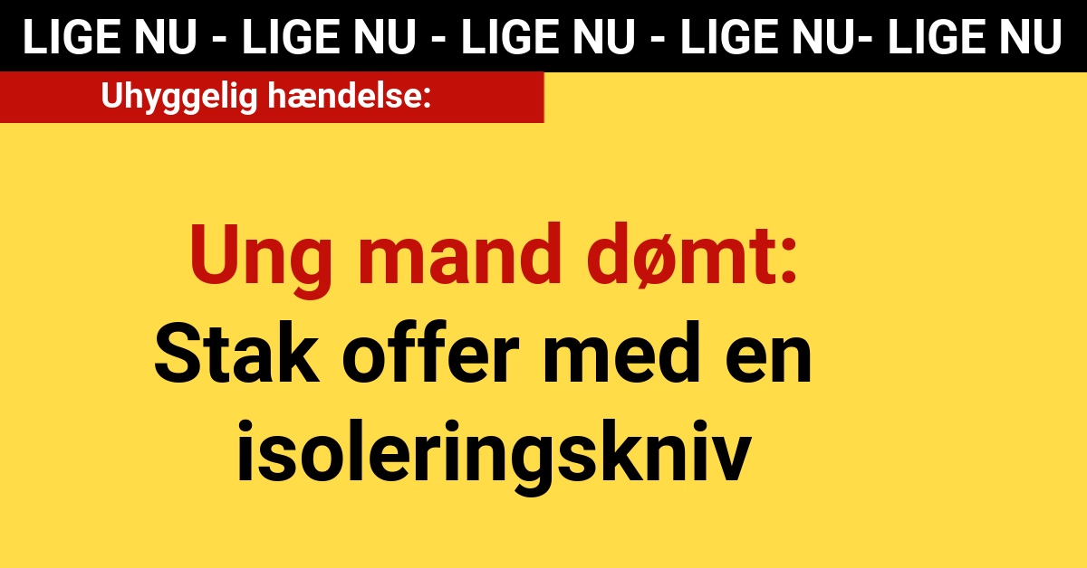 Ung mand dømt: Stak offer med en isoleringskniv