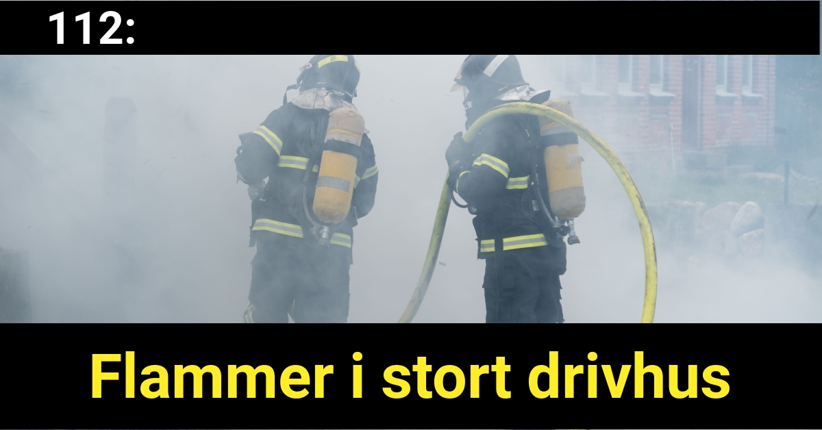 Flammer i stort drivhus - 112