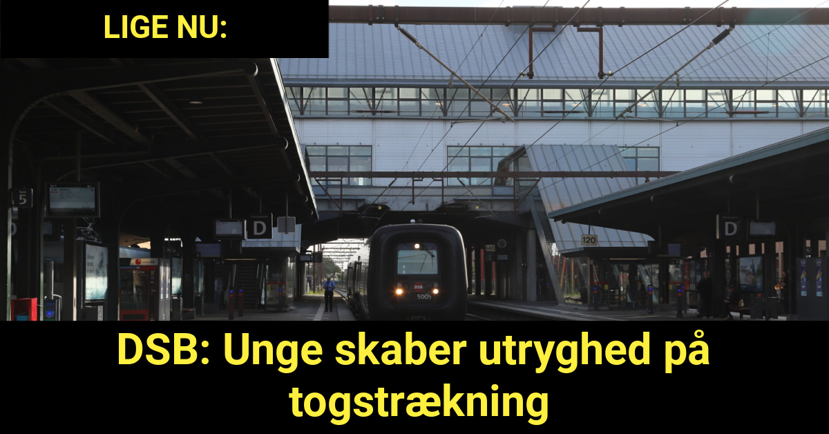 DSB: Unge skaber utryghed på togstrækning