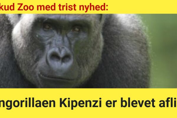 Foto: Givskud Zoo