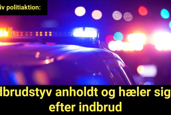 Effektiv politiaktion: Indbrudstyv anholdt og hæler sigtet efter indbrud