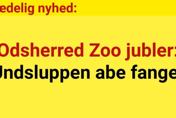 Odsherred Zoo jubler: Undsluppen abe fanget