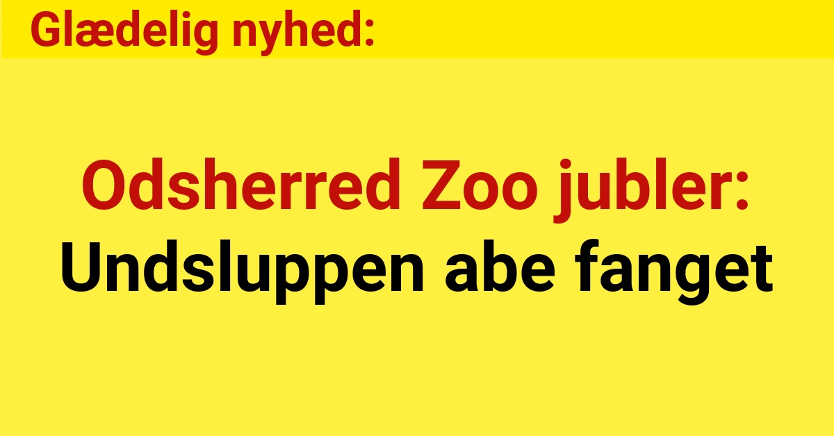 Odsherred Zoo jubler: Undsluppen abe fanget