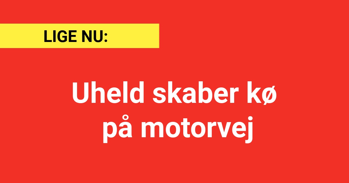 LIGE NU: Trafikuheld skaber kødannelse på motorvej