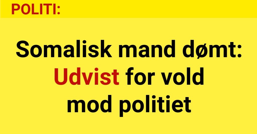 Somalisk mand dømt: Udvist for vold mod politiet