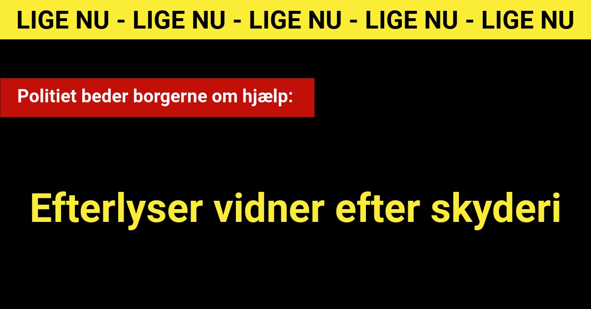 Politiet beder borgerne om hjælp: Efterlyser vidner efter skyderi - Krimi