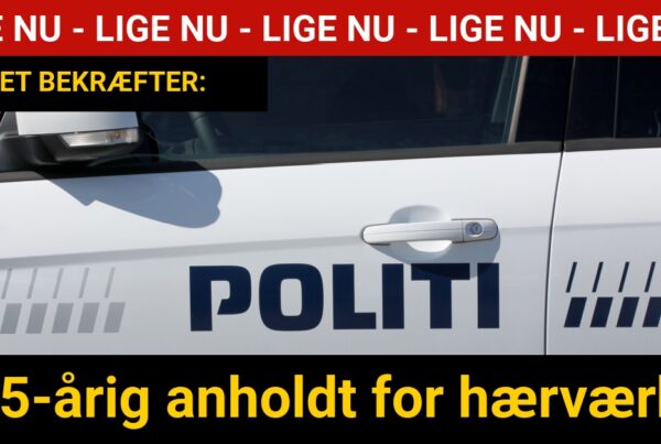15-årig anholdt for hærværk - Krimi