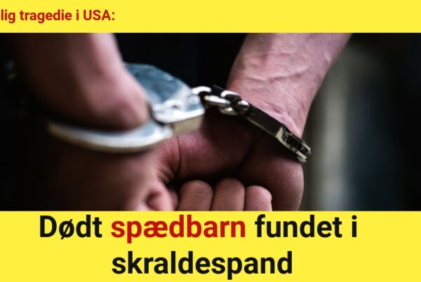 Uhyggelig tragedie: Dødt spædbarn fundet i skraldespand