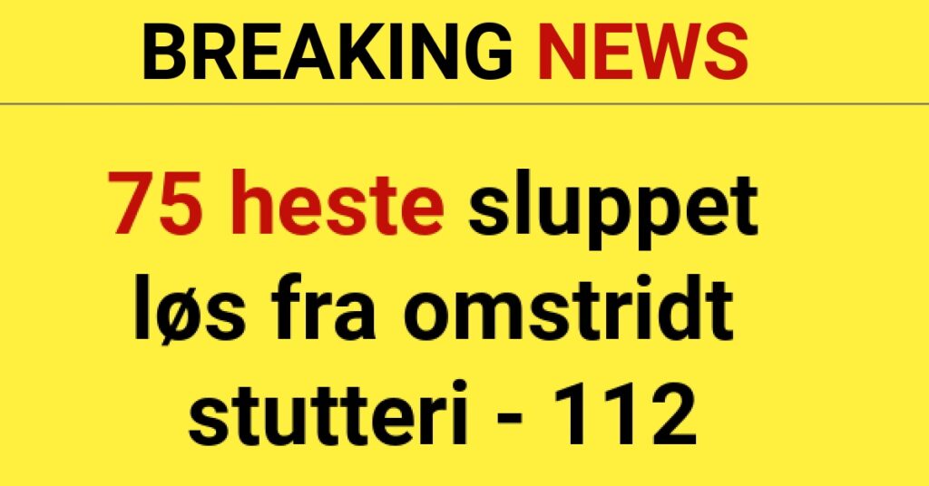 BREAKING: 75 heste sluppet løs fra omstridt stutteri - 112