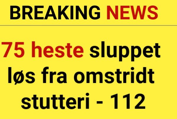 BREAKING: 75 heste sluppet løs fra omstridt stutteri - 112